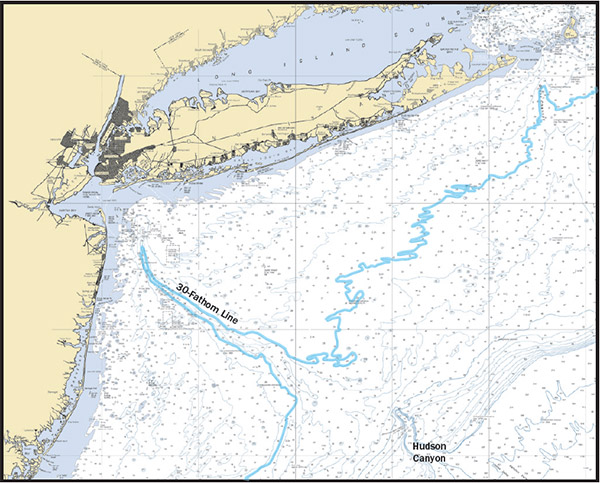 Decent numbers of yellowfin tuna can be found along the 30-fathom line