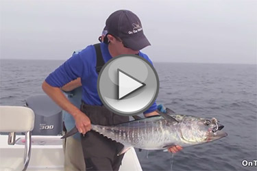 Trolling Tactics for Bluefin Tuna