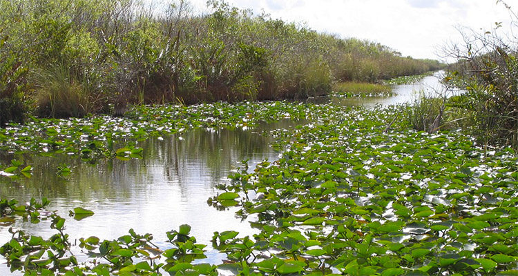 Everglades National Park