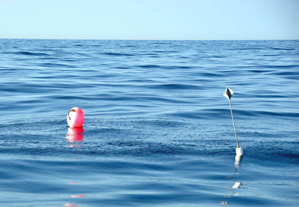 High-flier buoys are a common sight offshore, and they are mahi magnets. On a flat day you can use your radar to locate them. 