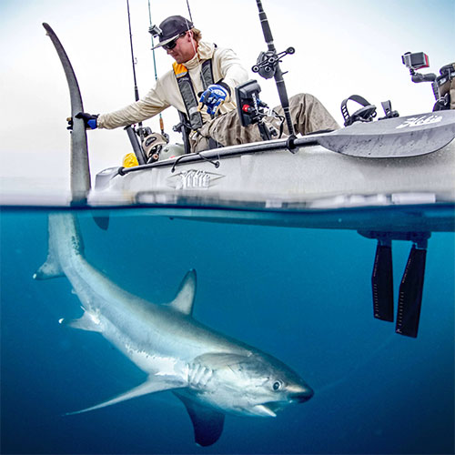 The new fins are more durable