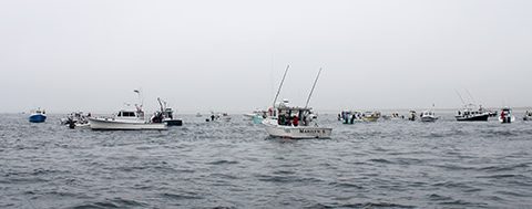 In Massachusetts, the commercial striped bass fishery is limited to rod-and-reel fishing. Many participants are also charter captains.