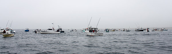 In Massachusetts, the commercial striped bass fishery is limited to rod-and-reel fishing. Many participants are also charter captains.