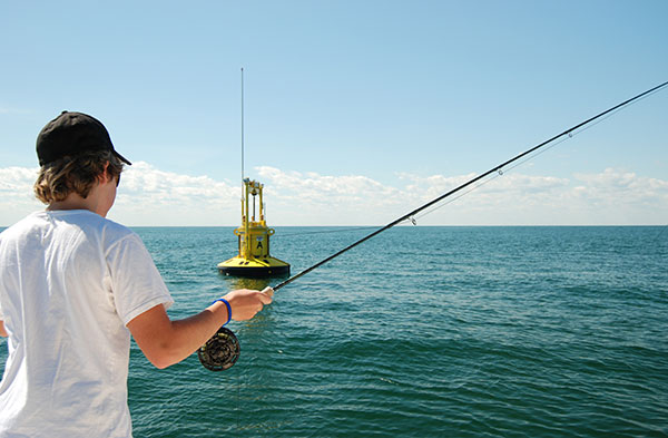 Mahi will orient closely to floating structure, both for forage and protection.