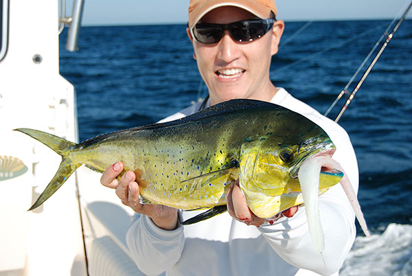 Soft-plastic stickbaits are very effective mahi lures. 