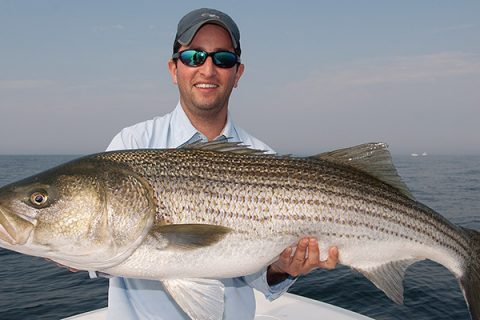 Contrary to most striped bass fishing, the afternoon is generally better than the morning for big bass on bunker.