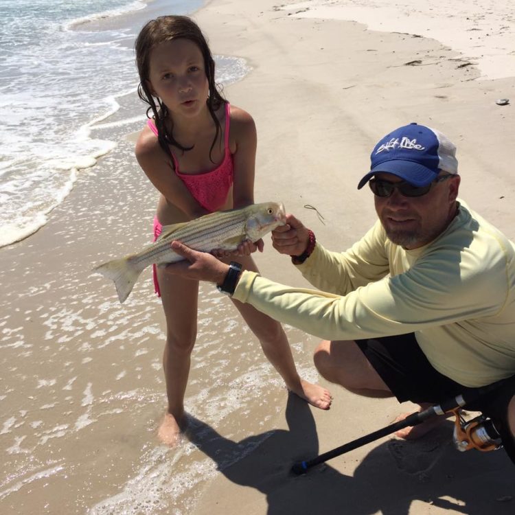 South winds and cooling waters are bringing schoolie stripers into the surf reported Betty and Nick's Bait and Tackle.