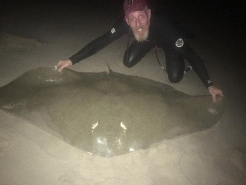 Night fishing on the beach has been very chaotic as big sharks and rays are being landed.