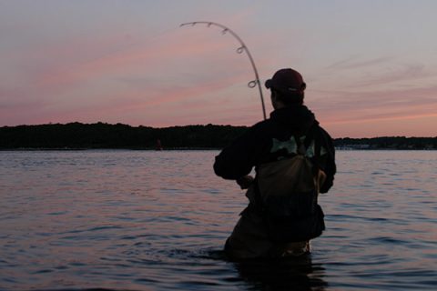 Five Plugs To Fake Out Summertime Stripers