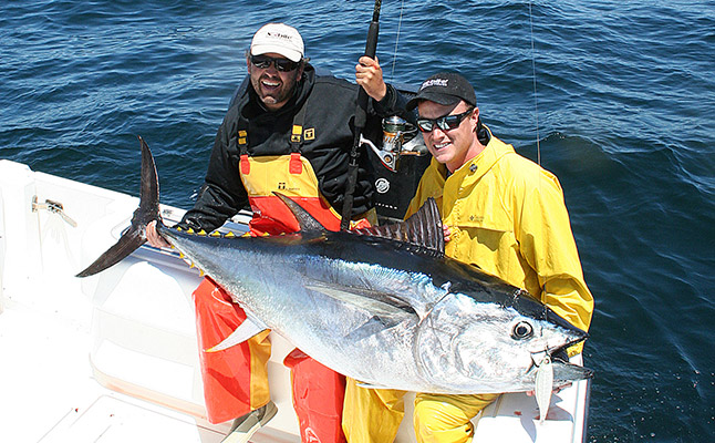 This big bluefin fell to a Sebile Stick Shadd