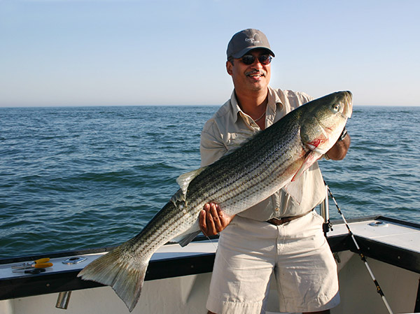 Grand Slam mate Kenny Leon caught this Montauk striper on a chunk of fresh bunker.
