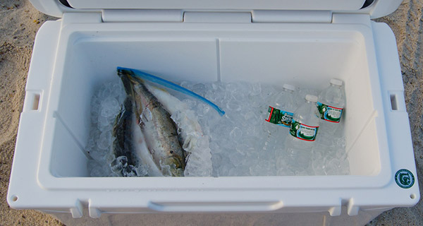 Storing bunker in plastic zipper bags will keep the bait from washing out and prevent bunker slime from getting on the rest of your cooler’s contents.