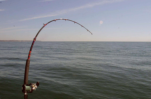 One of the most effective ways to hook bass on bunker chunks is to simply leave the rod in the rod holder.