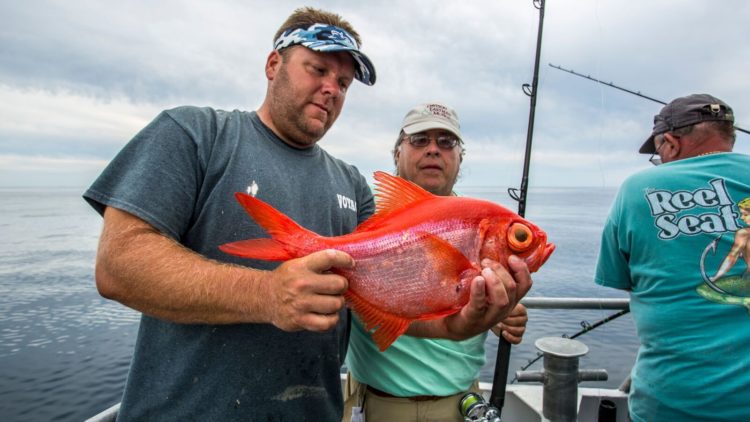 The surprise catch of the trip made by Dave Arbeitman, right, was this broad alfonsino, a beautifully colored deepwater fish with an enormous eyeball. 