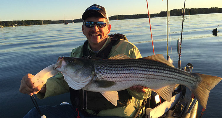 Chuck Fritz with a 30" Piscataqua bass he caught on a 6" paddletail shad.