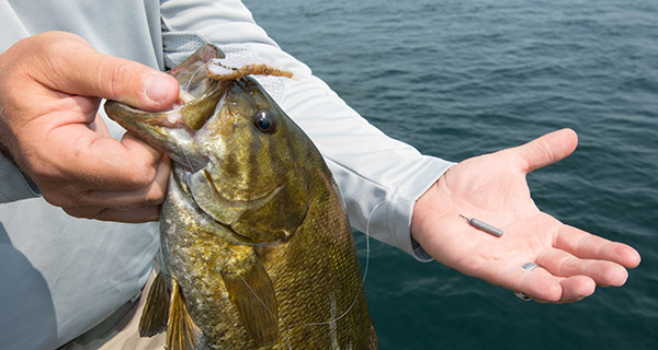A drop-shot rig is an excellent all-round option for smallmouth relating to bottom at any depth.