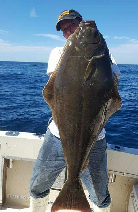Halibut continue to be the buzz in the South Shore area