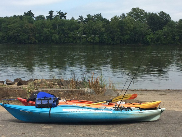 Kayaks at the Yardley Access. Kayak anglers fishing from Washington&rsquo;s Crossing down to Yardley were getting Smallmouth Bass to bite along the PA shoreline, but had to limit fishing to weedless lures due to the excessive vegetation. Smallies were biting on soft plastic jerk shad and soft plastic stick worms rigged to be weedless.
