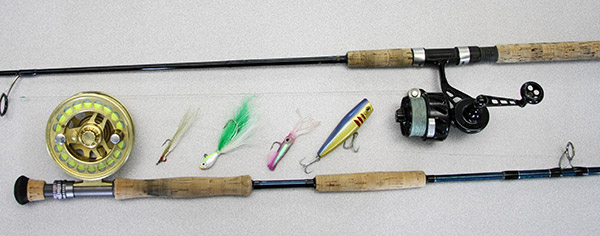 Mahi will readily attack a variety of bucktails, flies, soft-plastic jigs and topwater lures.