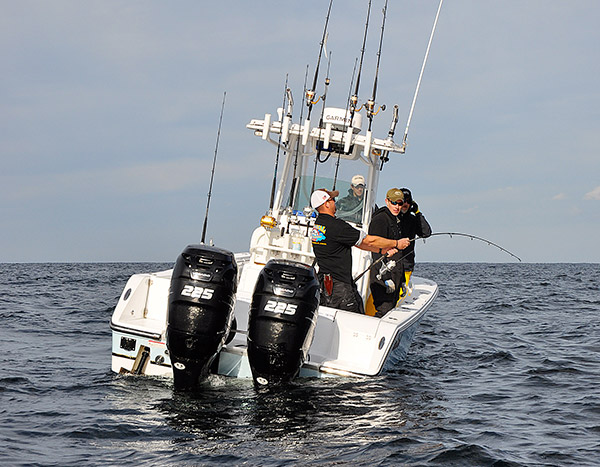 More important than matching the bait size or color is matching their movements with the presentation.