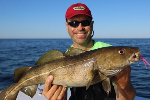 Managers Recommend Closed Cod Season in 2017