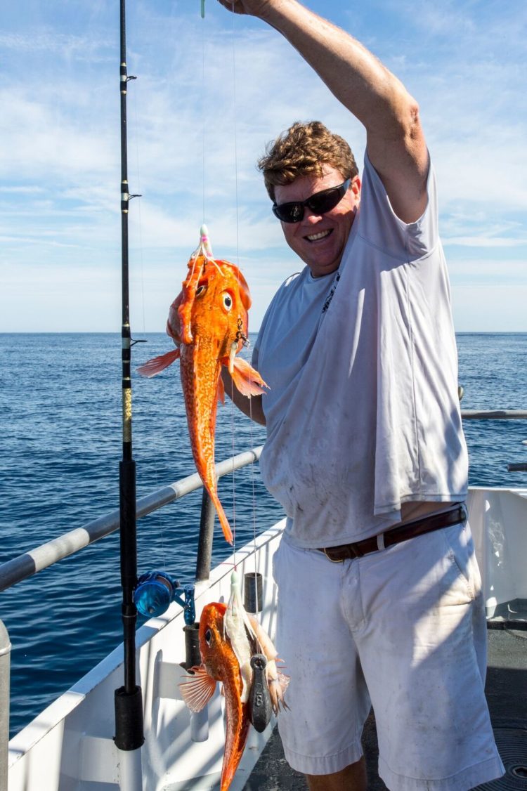 Double-headers of blackbelly rosefish were common during some of the day's drops. These small, colorful fish are excellent eating. 