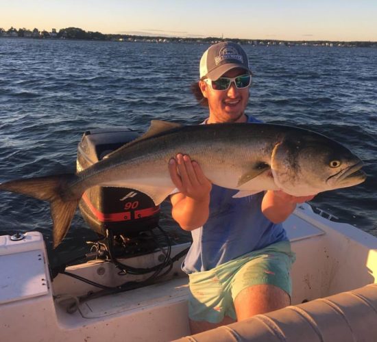 Tommy Dzis landed this monster Long Island Sound bluefish this week.