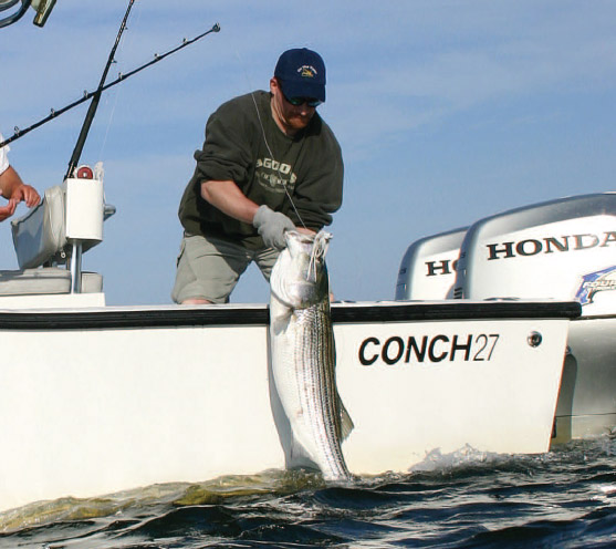 Wire-line trolling is a great midday tactic when stripers are hanging out in deeper water.