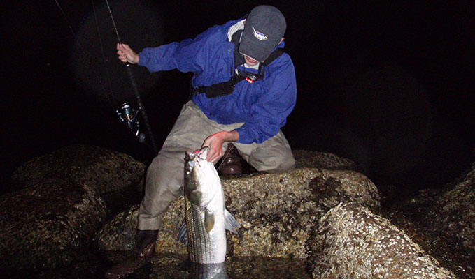 After hours surf stripers
