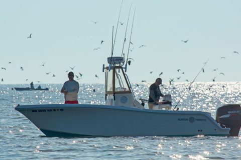 September is the season of the blitz. Predict the players, pack essential lures and you&rsquo;ll fare better this fall.