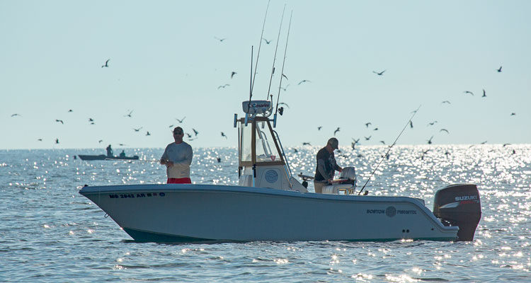 September is the season of the blitz. Predict the players, pack essential lures and you&rsquo;ll fare better this fall.