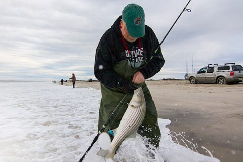Surfcasting The Lip For Stripers