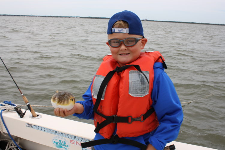 Blowfish and small sea bass kept the authors son busy on a Barnegat Bay early this week.  