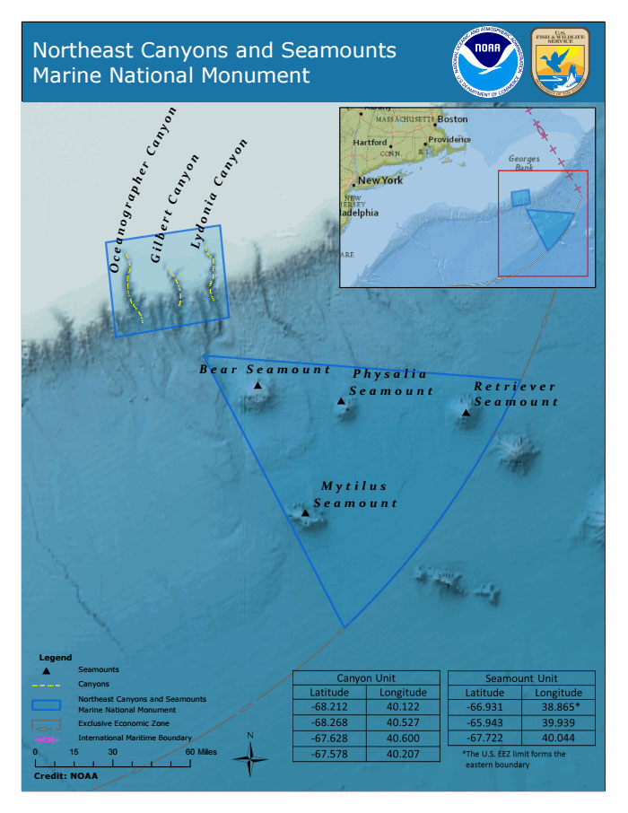 Northeast Canyons and Seamounts Marine National Monument