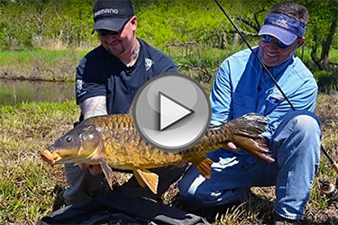 blackstone river valley carp