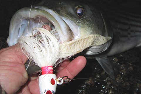 Good bucktailing skills are particularly important