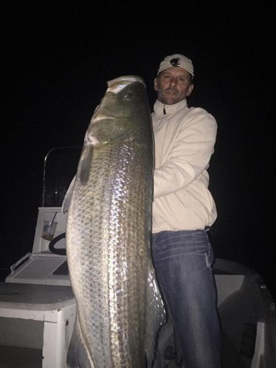 Oversized eels at night in Boston Harbor resulted in this oversize bass