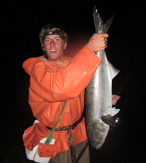Large bluefish can be found at night after the blitzes subside. 
