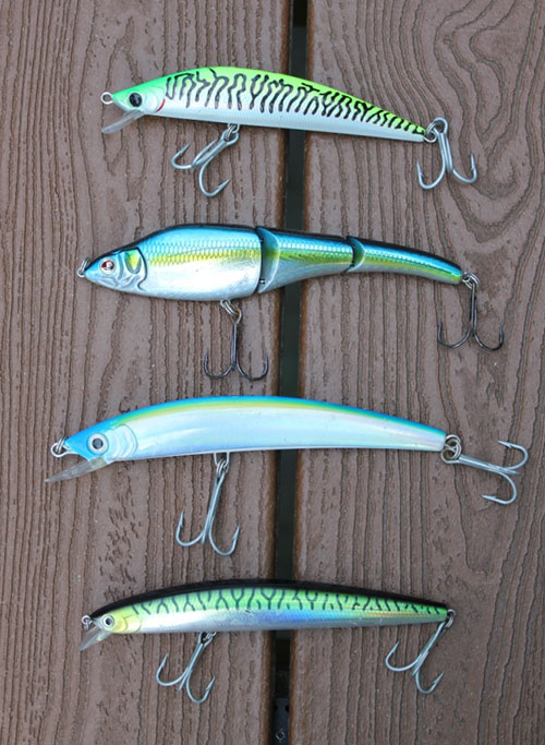 Mackerel lure selection