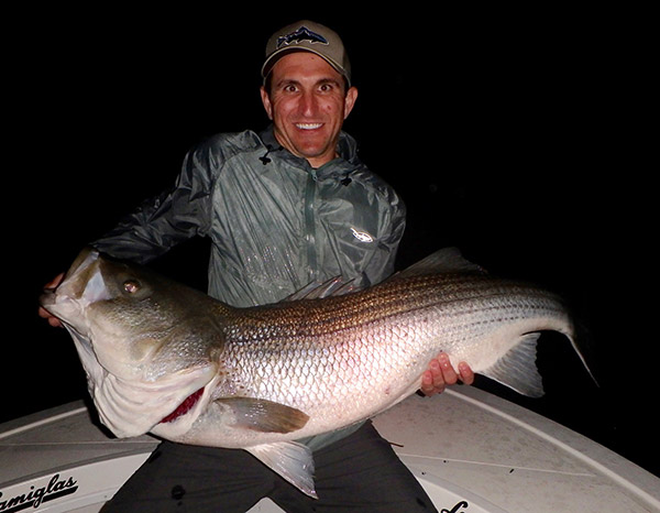 This 50-pound bass caught in Connecticut aboard Reel Cast charters.