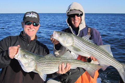 The author and his brother Steve Pickering display two keeper bass that were caught along the Narragansett shoreline.
