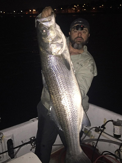 Jeff "the Riddler" Lopez with a monster harbor bass which fell at night for an eel.