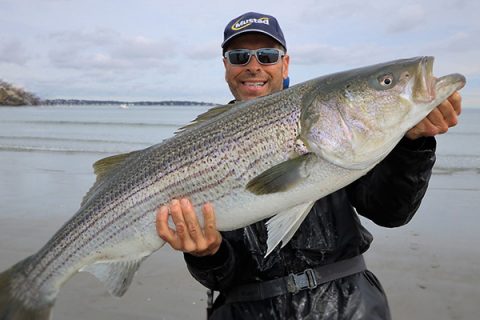 Managers Consider Increasing Striper Harvest