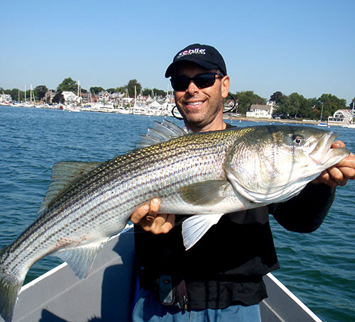  Baitfish will be abundant in Boston Harbor in September, and big bass will be feeding heavily.