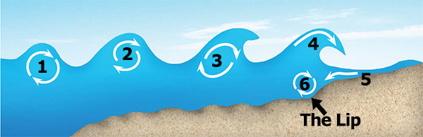 Not all beaches feature a well-defined lip but many do.