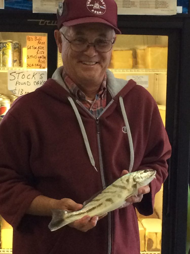 Large kingfish continue to be caught from the South Jersey beaches reported Riptide Bait and Tackle. 