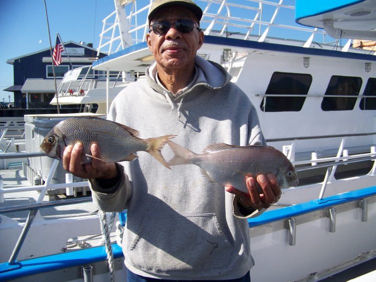 A couple of nice porgies caught aboard The Fishermen out of Atlantic Highlands.