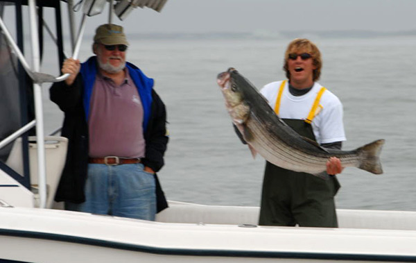 Fishing around schools of bunker is more important than fishing around structure when targeting fall stripers in the Delaware Bay.