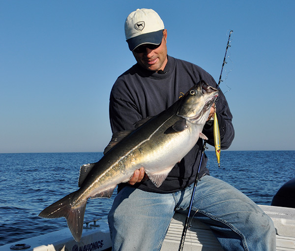 Take advantage of any unseasonably warm days in late October to go offshore and jig for pollock.