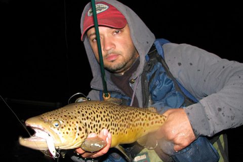 Topwater trout
